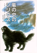 Star in the Storm Japan book cover