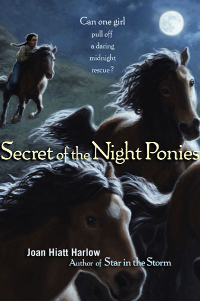 Secret of the Night Poines book cover